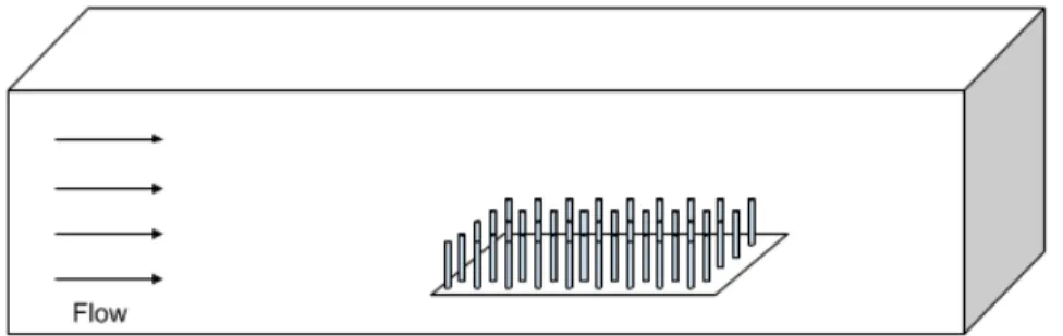 Figure 5: Experimental set up of macrophyte models in the flow tank