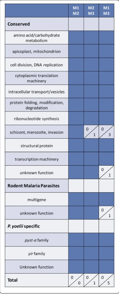 Figure 1 There is little differential gene expression betweenThe total number of genes that were up- or down-regulated isPlasmodium yoelii 17X parasites isolated from individual mice.Three animals (M1, M2 and M3) were infected with P