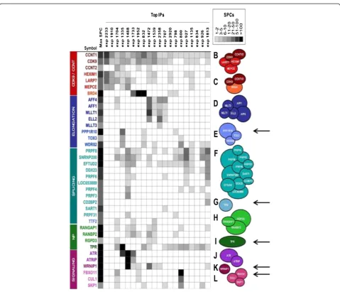 Figure 1 CCAPs identified from human complexome. The indicated CCAPs were derived from an integrative mass spectrometry analysis of alarge scale immunoprecipitation study [25]