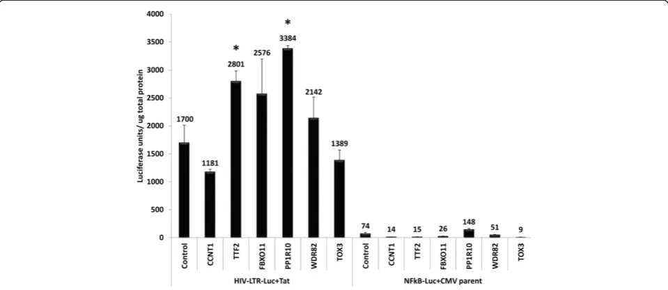 Figure 5 Enhancement of Tat activation by CCAP depletions is not due to increased Tat expression or differential association of CDK9/CCNT1 with 7SK/HEXIM1
