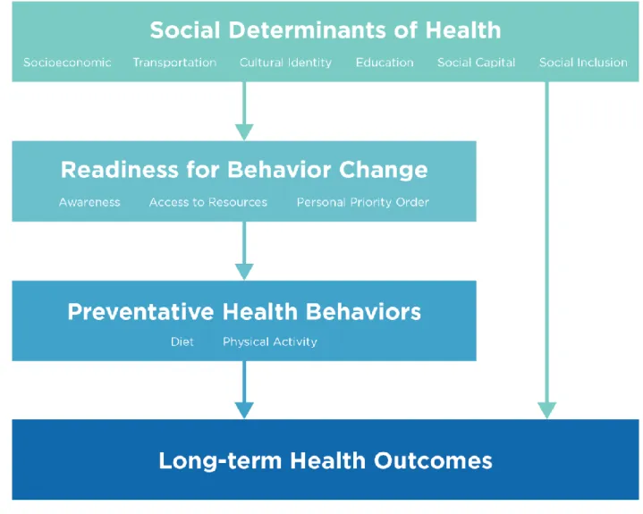 Figure 1. Theoretical framework of health determinants described by study participants