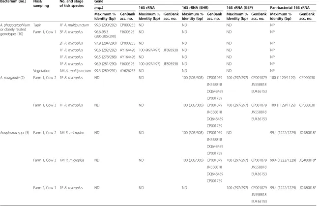 Table 4 Anaplasmataceae species detected in ticks from Ecuador