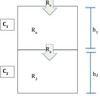 Figure 3. A diagram of the model and its parameters. C 1  and C 2  are the concentrations of DO in  the upper and lower water layers, whose heights are represented by h 1  and h 2 , respectively
