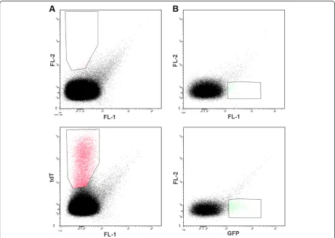 Figure 1 Representative dot blots of red blood cells infected with either non-fluorescent P