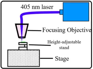 FIG. 11. Side view of simplified DW exposure setup.