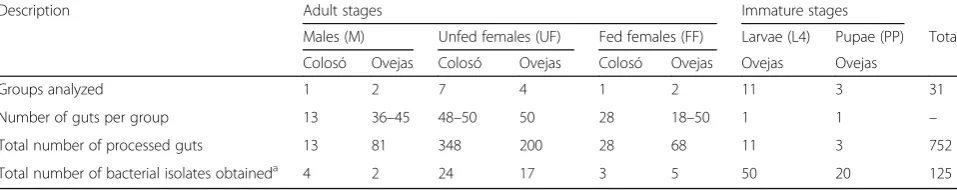 Table 1 Description of samples of adult and immature stages of Lutzomyia evansi collected and processed for analysis of bacterialflora associated with the gut