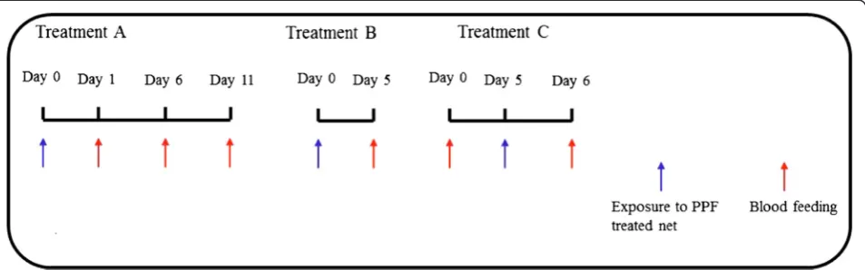 Figure 1 Description of treatments to test the following hypotheses: 1) PPF has an irreversible structural damage on ovaries andfemales can no longer lay eggs (over multiple gonotrophic cycles) after being in contact once with the chemical (Treatments A and B);2) When the ovaries are fully developed and females have laid eggs (parous) before any contact with PPF, subsequent contact withthe chemical has only minor effect on successive ovipositions (Treatment C).