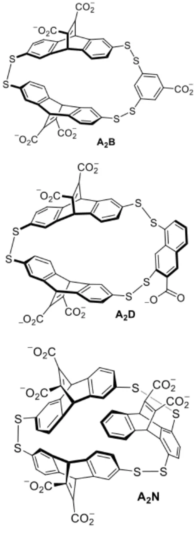 Figure 2. Structures of  receptors A 2 B, A 2 D, and  A 2 N. 