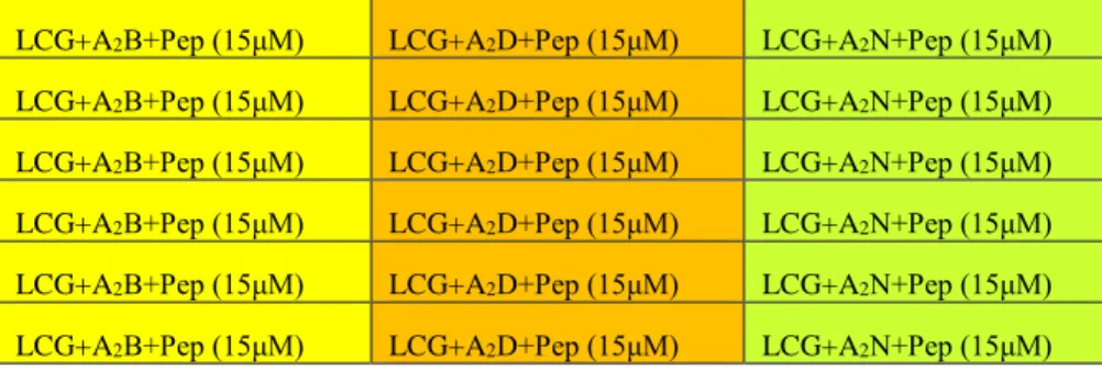 Table 2. First Plate assay utilizing only A 2 B. Color closer to green  represents more relative fluorescence