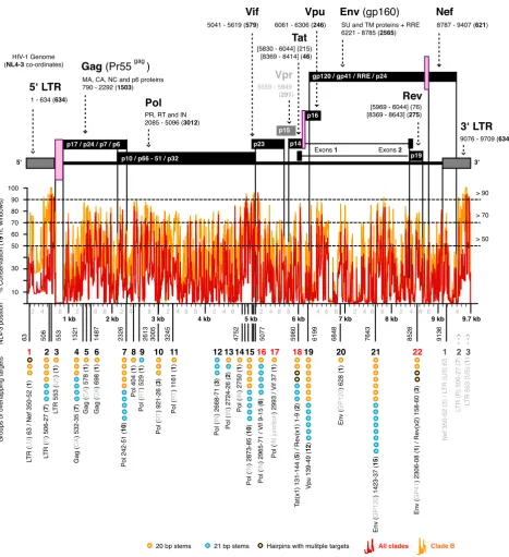 Figure 2Conservations and the 22 targeted regions96 selected targets are given below the conservation graphs