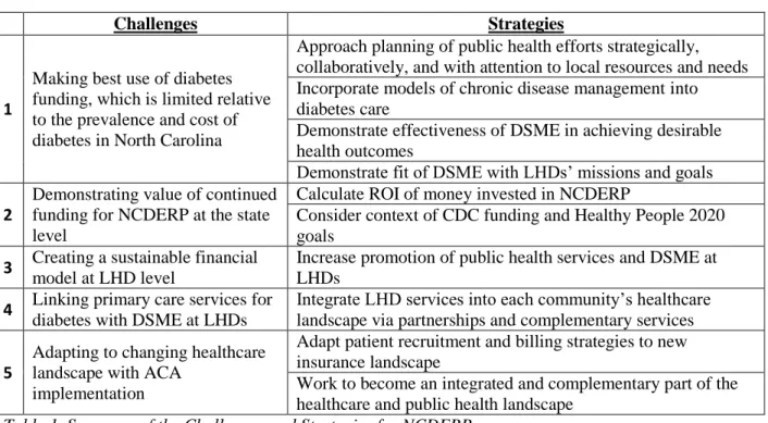 Table 1. Summary of the Challenges and Strategies for NCDERP 