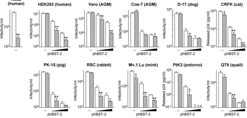 Figure 2Suppression of HIV-1 release by exogenous hBST-2 in various cell linesicance (Student's standard deviations