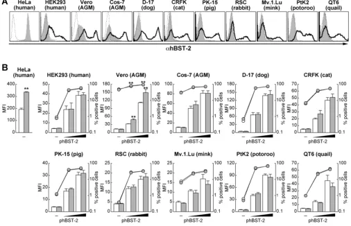 Figure 3Surface expression of exogenous hBST-2 in various cell linesSurface expression of exogenous hBST-2 in various cell lines