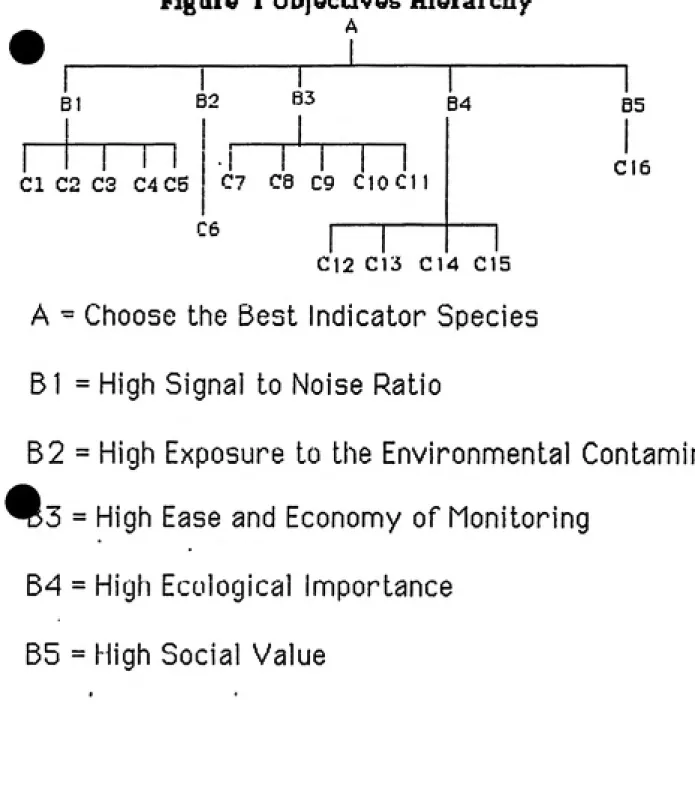 Figure 1 o^jecuvos Hierarcny A B1 B2 83 84 I     I CI C2 C3   C4CS I C7    C8   C9   C10C11 C6 C12 C\5   C14   C15 B5I C16