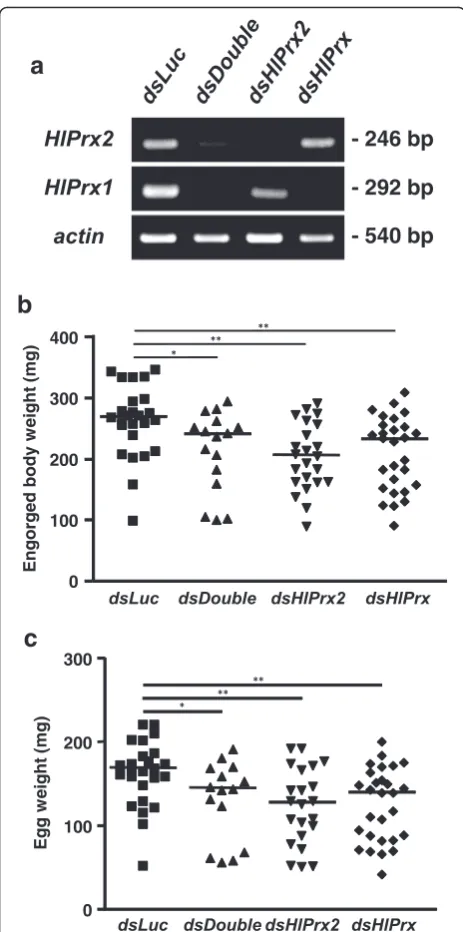 Fig. 4 a Knockdown confirmation of HlPrx and/or HlPrx2 genes inpartially fed adult ticks
