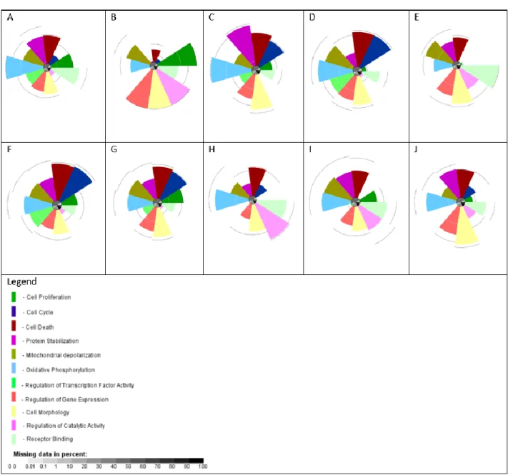 Figure 8 Top 10 Ranking Chemicals and their ToxPi profiles; A-J: chlordane, thiram, heptachlor, p,p’-DDD, mercuric  chloride, dinoseb, o,p’-DDT, captan, and tannic acid