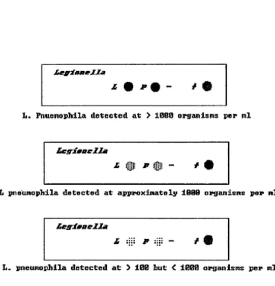 Figure 9. Interpretation of Reverse Dot-blot Hybridization Detection Strips