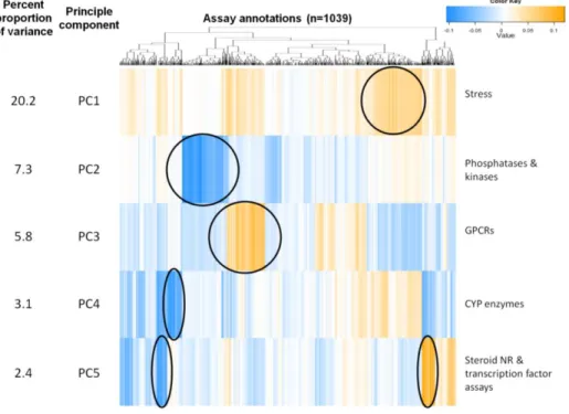 Figure 5: Heat map of the PCA loadings clustered by the annotation terms for the first five  principle components 