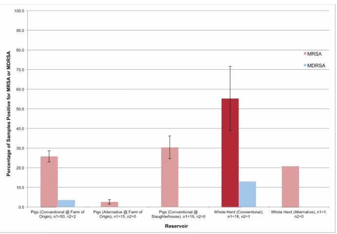Figure 4. MRSA and MDRSA prevalence in hogs. 