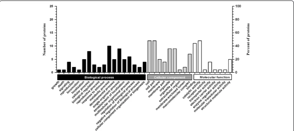 Figure 2 Gene Ontology classification of differentially expressed proteins identified by iTRAQ experiments between the Lab-DS andLab-DR strains