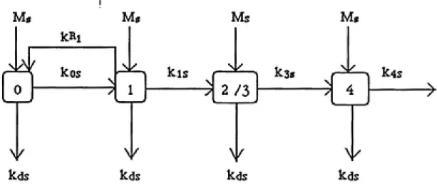Figure 3   Model for Background Transition