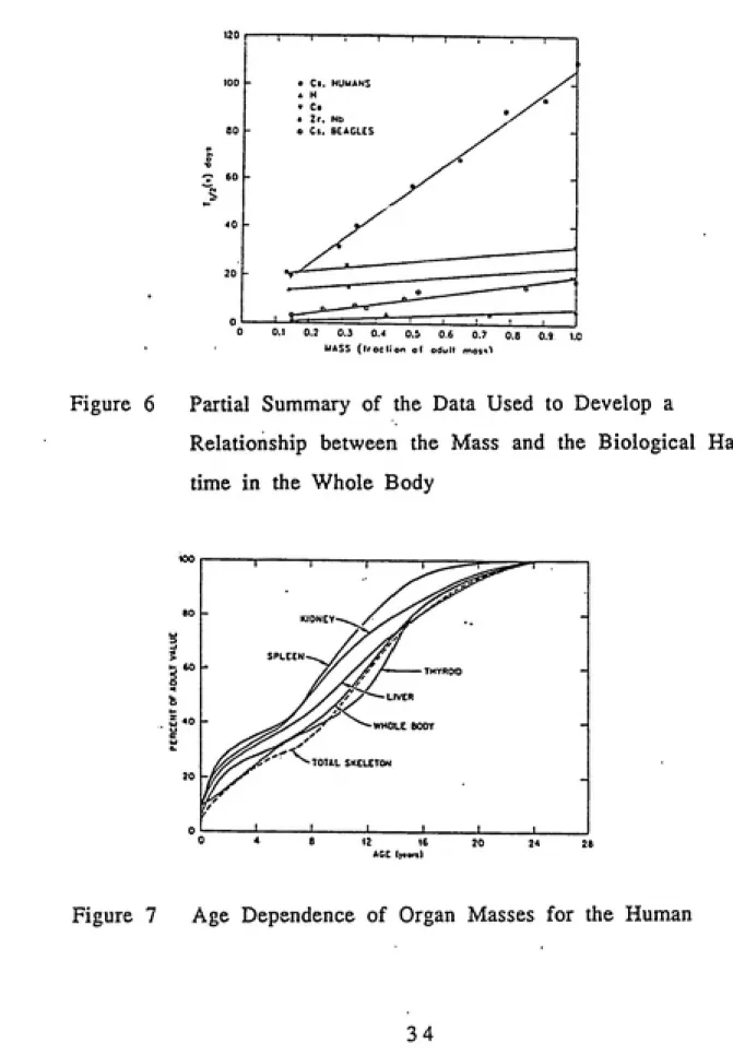 Figure 6      Partial Summary of the Data Used to Develop a