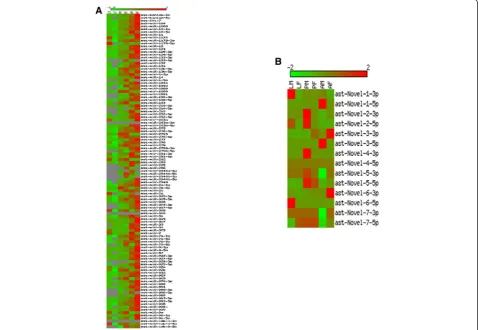 Figure 3 Heat map of miRNAs differentially expressed across developmental stages.miRNAs in small RNA libraries prepared from larva male (LM), larva female (LF), pupa male (PM), pupa female (PF), adult male (AM) and adult female Expression profiles of (A) k