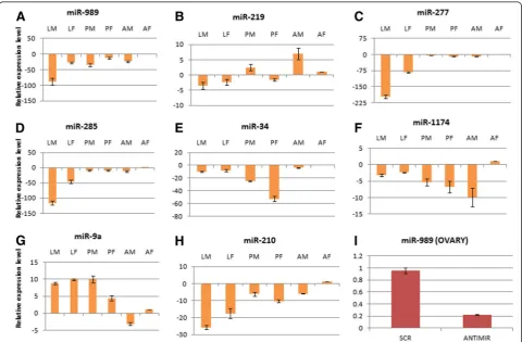 Figure 4 Expression profiling of regulated miRNAs by Real time PCR. (A) miR-989, (B) miR-219, (C) miR-277, (D) miR-285, (E) miR-34, (F) miR-1174,(G) miR-9a and (H) miR-210 were profiled in larva male (LM), larva female (LF), pupa male (PM), pupa female (PF