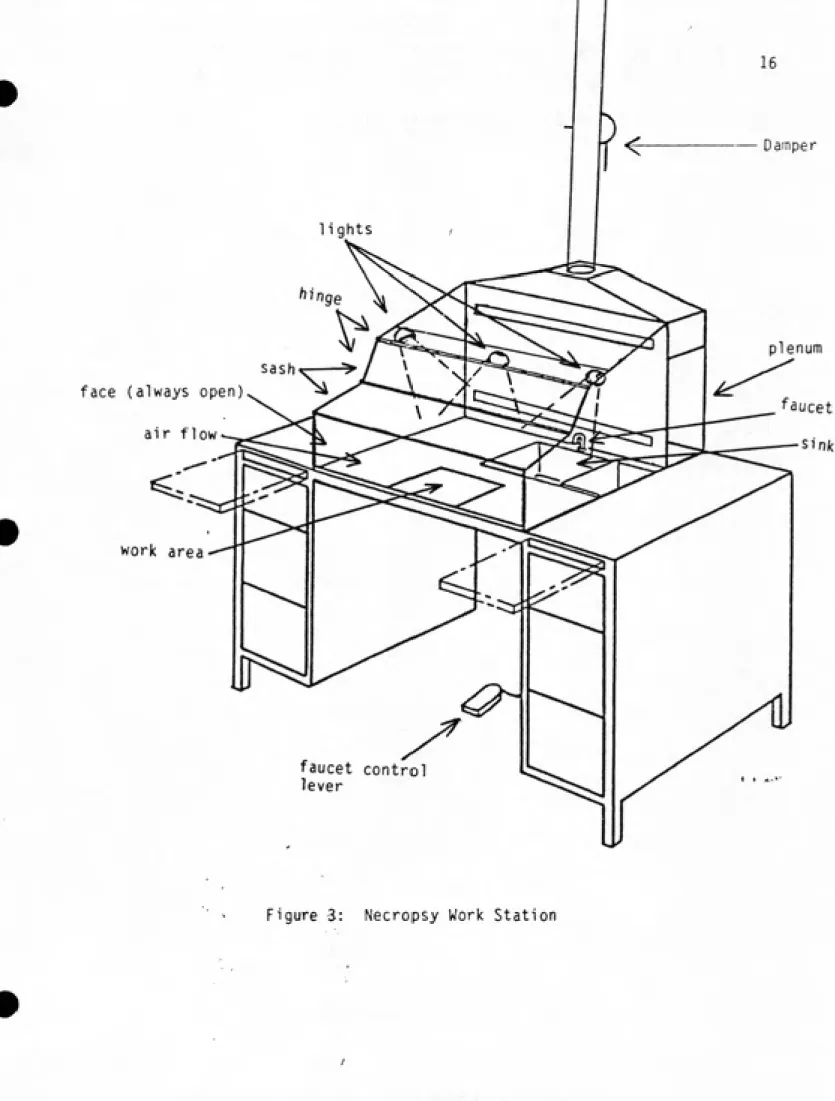 Figure 3: Necropsy Work Station