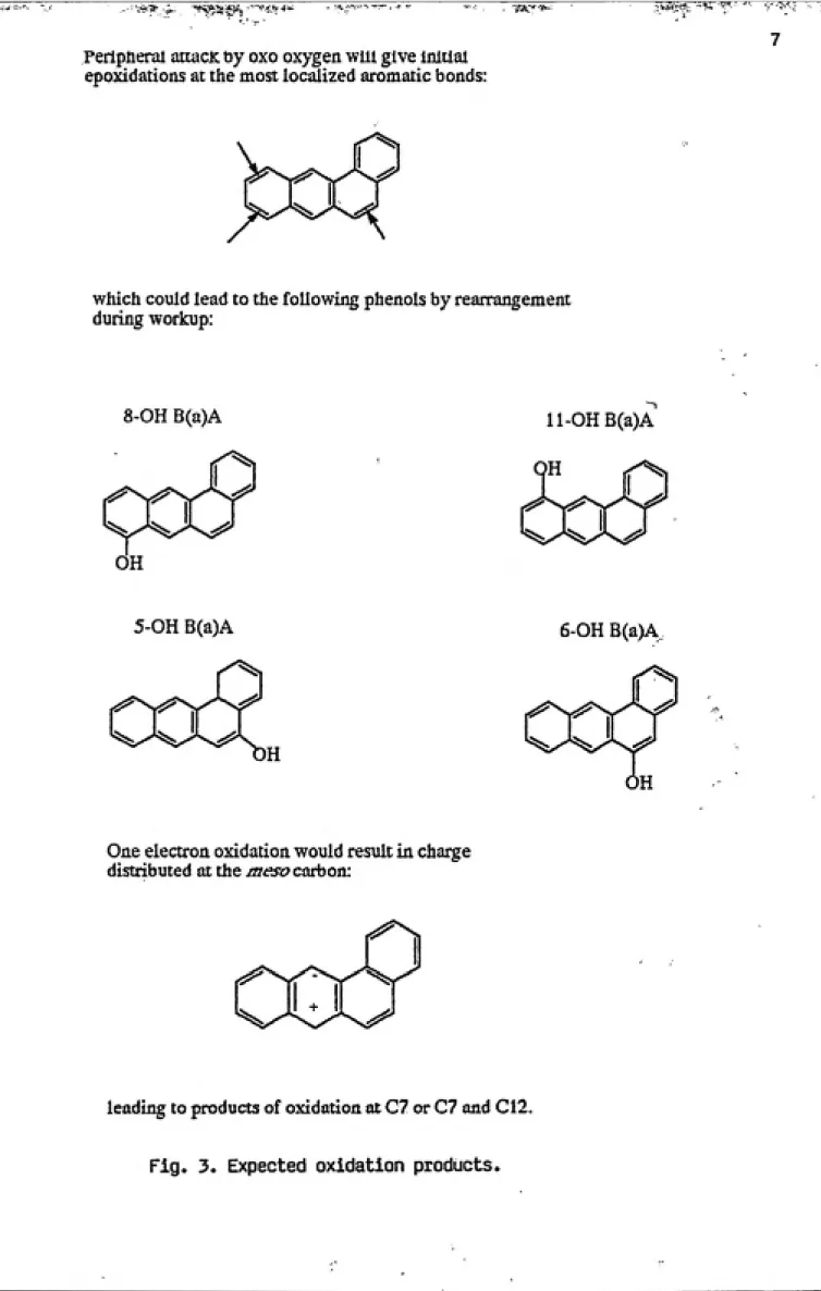 Fig. 3. Expected oxidation products.