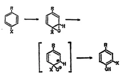 Fig. 5. The NIH shift. This migration and