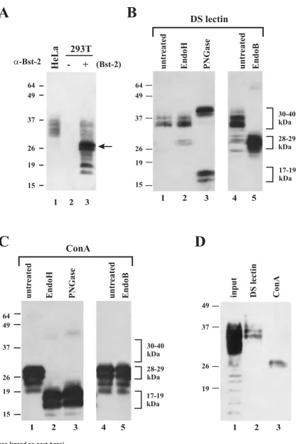Figure 2 (see legend on next page)