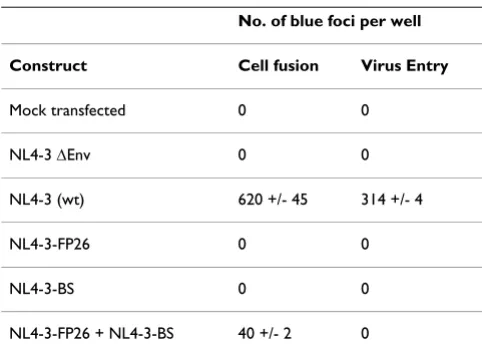 Table 1: Complementation analysis of Envs expressed from infectious HIV-1 molecular clones in assays of cell fusion and virus entry.