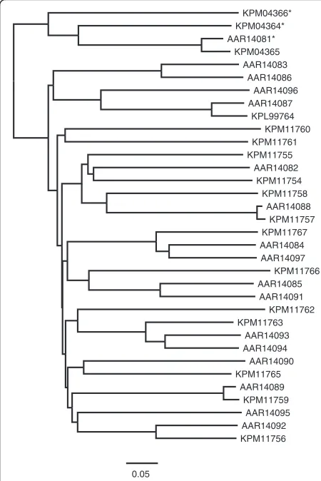 Fig. 1 Neighbor joining tree of select serine proteases. Asterisksindicate members containing active site residues that are intact.Accessions beginning with “A” are Sarcoptes scabiei var