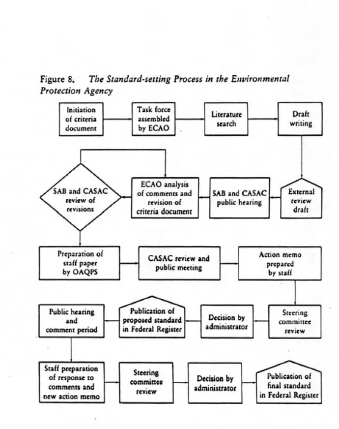 Figure 8i     The Standard-setting Process in the Environmental