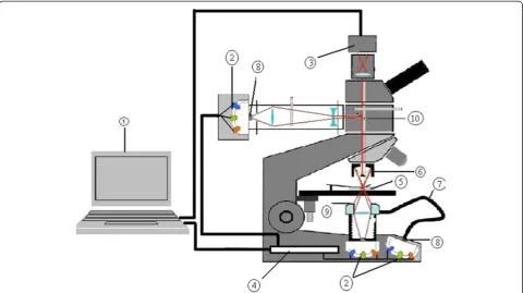 Figure 1 The multispectral imaging microscope (adapted from [22]). Key: 1. Computer. 2