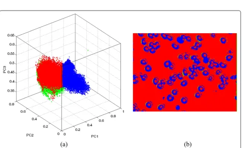Figure 5 Pixels of red blood cells for a transmission image (colour coded-blue) (a) delineated in the score space and (b) highlighted inthe image space.