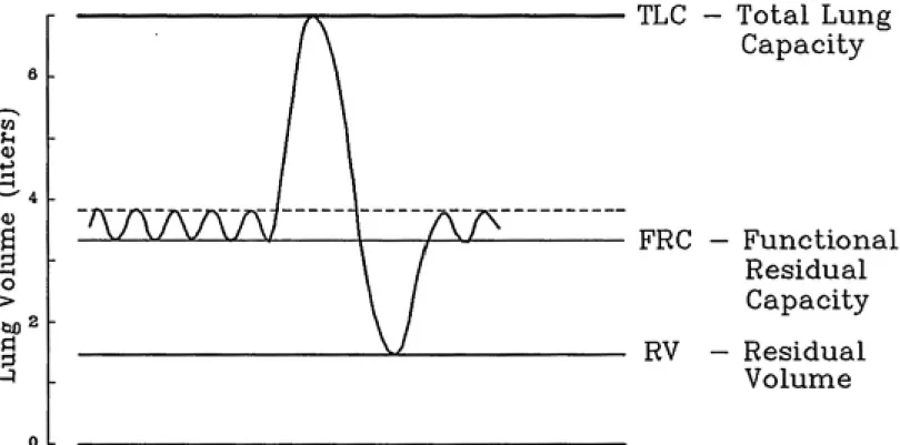 Figure 2:    Static Lung Volumes