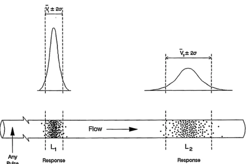 Figure 4: Impulse Response Experiment