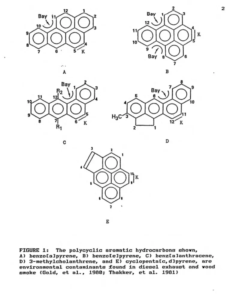 FIGURE 1:  The polycycllc aromatic hydrocarbons shown,
