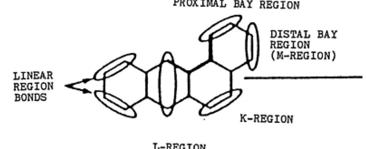 FIGURE 3:  The K-, L-, and bay-regions are important in determining structure activity relationships of