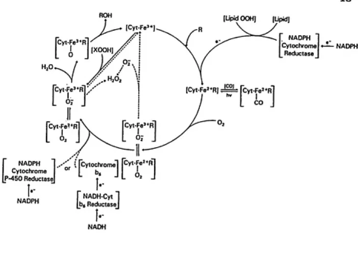 FIGURE 5:  The schematic indicates the events that occur for