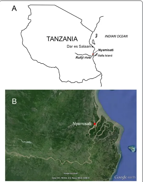 Figure 1 Location of Nyamisati village, Tanzania A) Location ofNyamisati within the Rufiji District, Tanzania; B) Google Earthmap showing Nyamisati in the Rufiji River Delta.