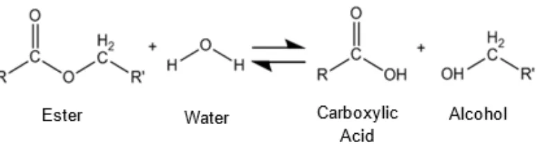 Figure 1.1. Hydrolysis degradation of the polyester binder when in contact with water yielding carboxylic acid and alcohol