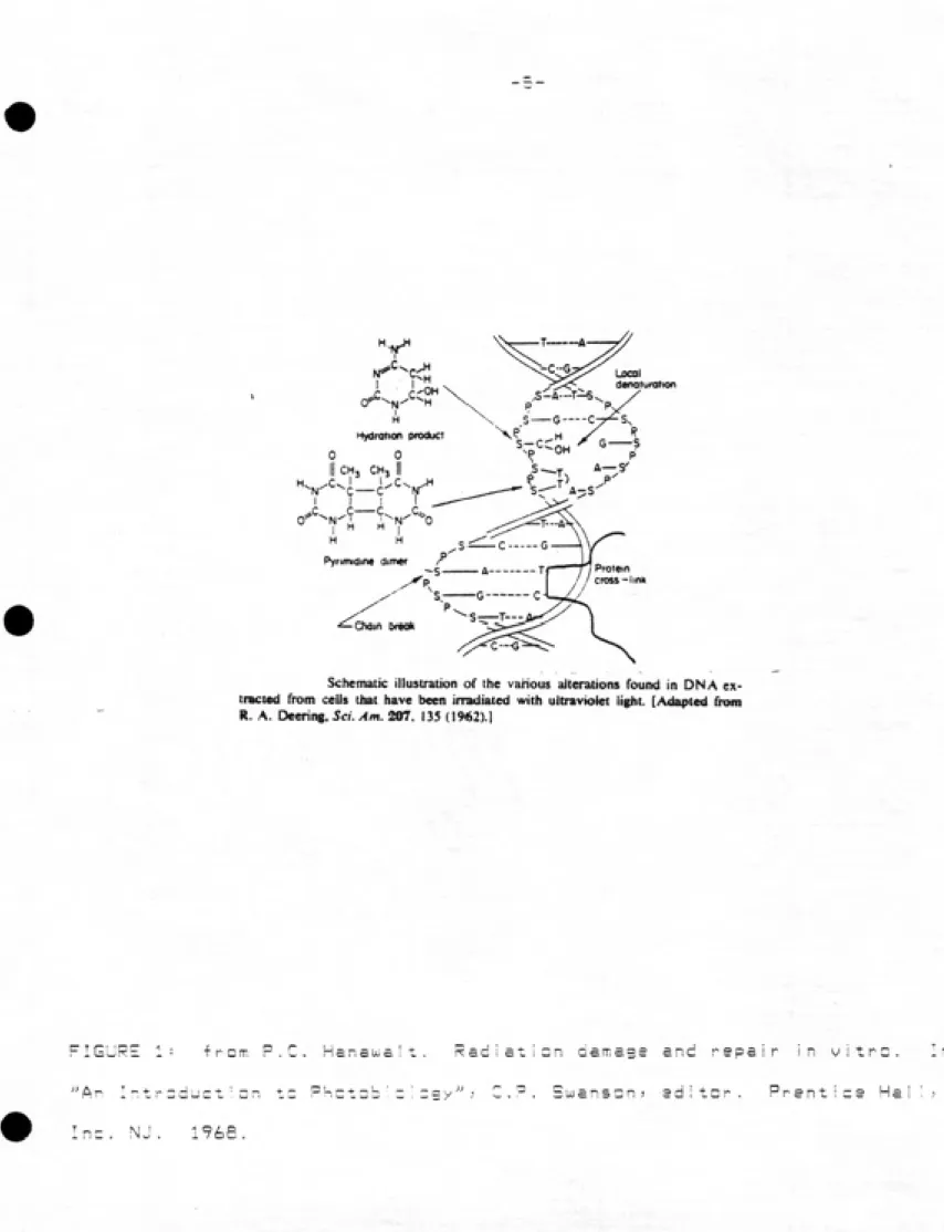 FIGURE 1: iron-.