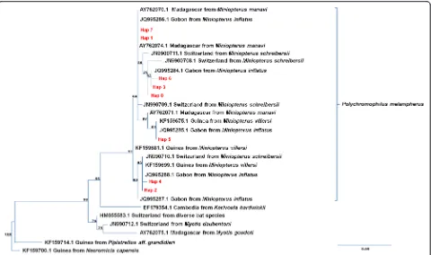 Fig. 4 Phylogenetic position of bat fly-infecting parasites for species assignment. Maximum likelihood sub-tree ofobtained from the alignment analysis of 314 bpsection and Additional file 1: Table S1 for details and GenBank accession numbers of the differe
