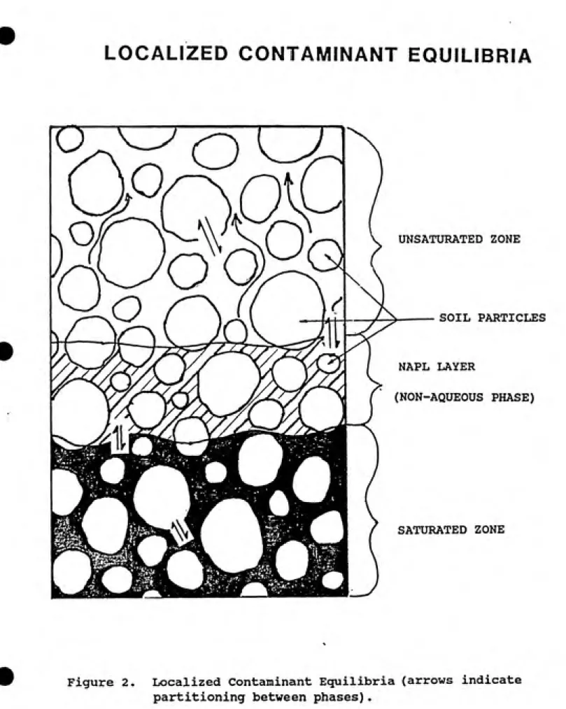 Figure 2.  Localized Contaminant Equilibria (arrows indicate