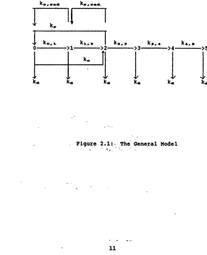 Figure 2.1:  The General Model