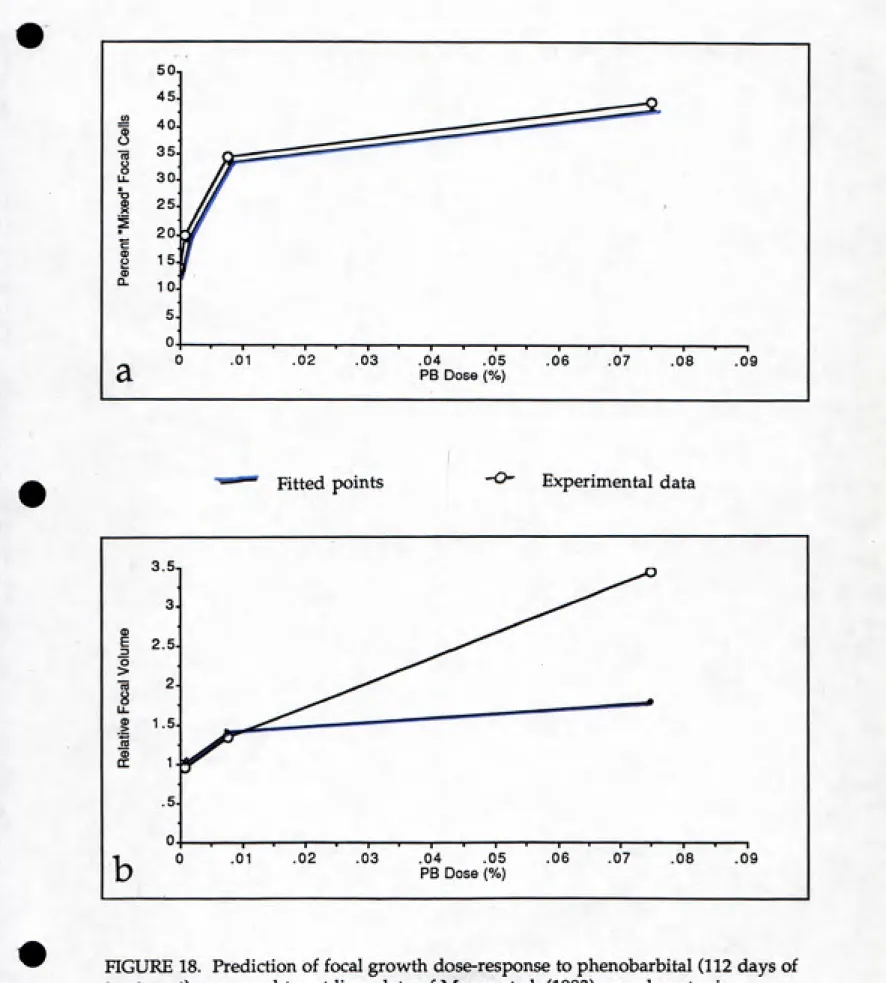 FIGURE 18. Prediction of focal growth dose-response to phenobarbital (112 days of treatment) compared to rat liver data of Moore et al, (1983)