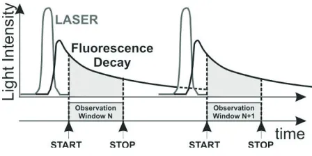 Figure 2.4: Mono-exponential ﬂuorescence decay. Adapted from [11].